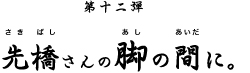 先橋さんの脚の間に。